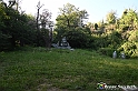 VBS_4900 - Il bosco fatato - Montaldo Roero